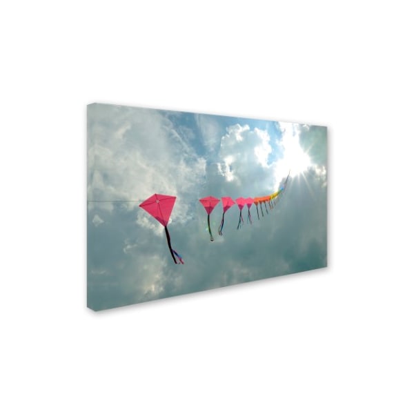 Kurt Shaffer 'Kites To Heaven' Canvas Art,12x19